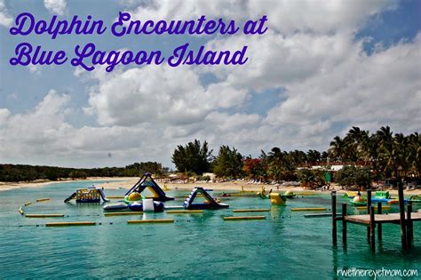 Dolphin Encounters At Blue Lagoon Island ~ Nassau Bahamas R We There Yet Mom Dolphin