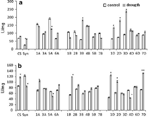 Mean Leaf Cat Activity U Mg In The Cs Syn Lines And Their Parents At