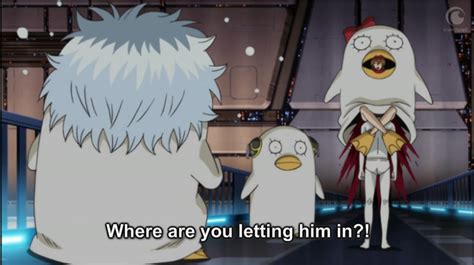 Gintama Sex Reference Gintama Know Your Meme