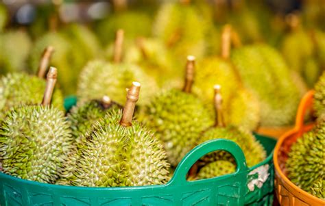 Best Durian In Singapore Top 5 Singapore Favourites