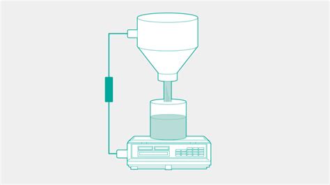 DSX 1000 State Of The Art Weigh Scale With Built In Limit Checking