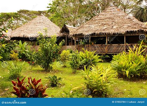 Peru, Peruvian Amazonas Landscape. the Photo Present Typical Indian ...