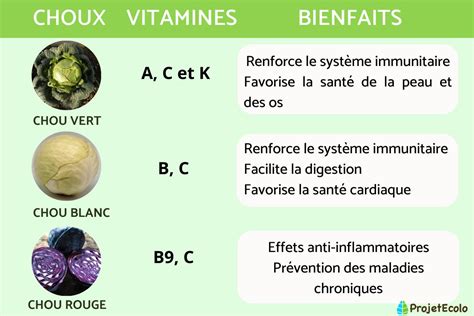 Bienfaits Du Chou Propri T S Et Contre Indications