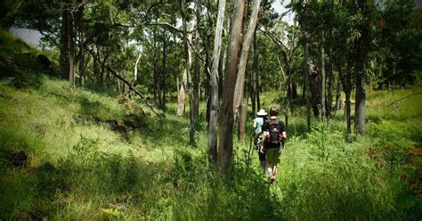 Lake Surprise Walk 2km Budj Bim National Park Vic