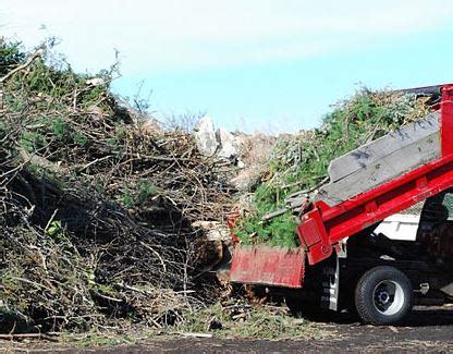 Yard Waste Removal Service in Arizona - Garage Cleanout and Junk ...