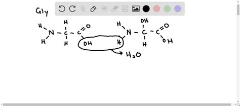 Solved Draw The Structure Of The Dipeptide Gly Ser Circling The