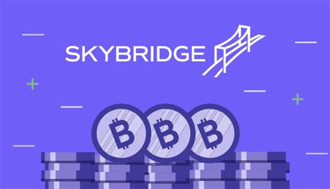 Skybridge Capital Ceo Sees Bitcoin At K In Zeply