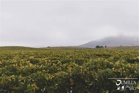 Bodegas Juan Gil Viñas Familia Gil Ruta Del Vino Jumilla