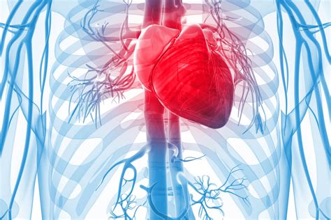 High Triglycerides- causes and treatment- Qoctor your online doctor