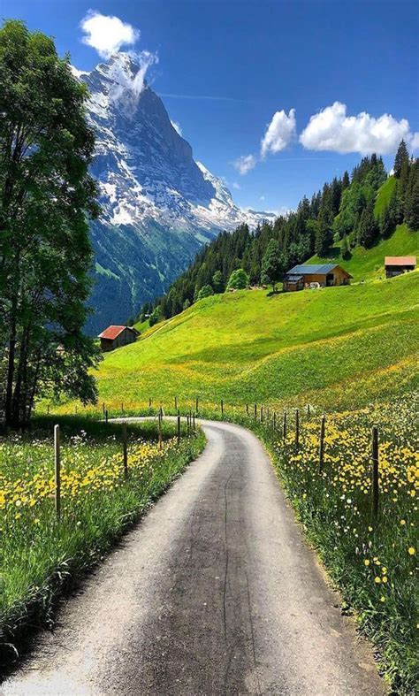 beautiful landscapes and flowers | Destinazioni di viaggio, Idee ...