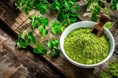 Green Moringa Powder 4 Benefits You Should Know Zest Of Moringa