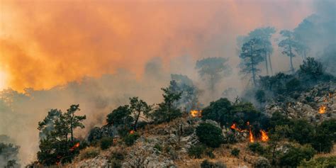 El Colapso Clim Tico Ya Comenz Advirti Onu Luego Del Peor Verano