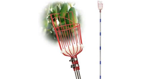 Fruit Picker Pole Tool Review Product Reviews