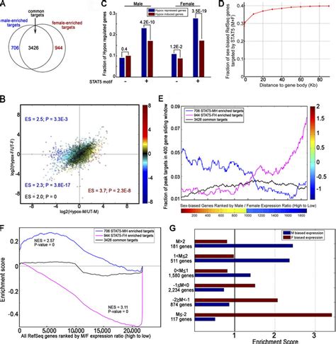 Relationship Between Sex Enriched Stat Binding And Pituitary