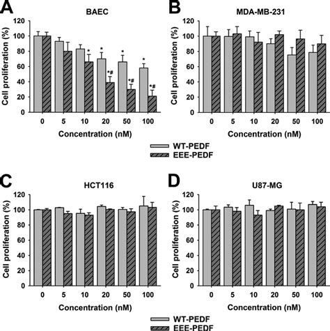 The Effect Of WT PEDF And EEE PEDF On Proliferation Rate Of Endothelial