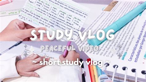 🎐 A Relaxing Study Vlog With Me Productive Day Aesthetic Study Vlog