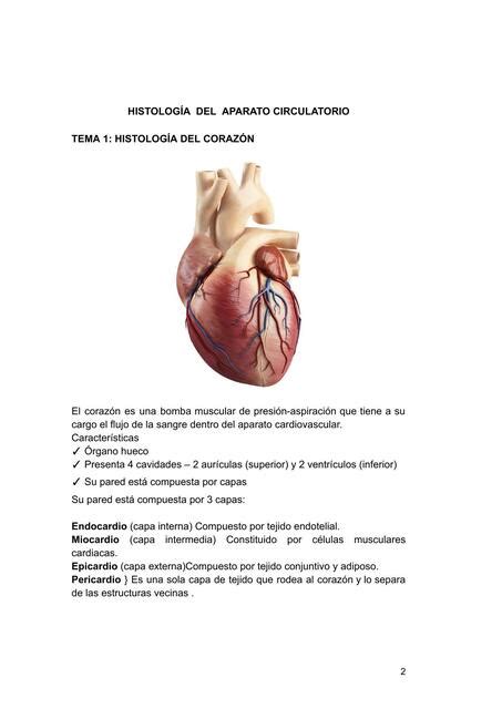 Unidad 1 histología del aparato cardiovascular Abigail BC uDocz