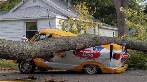 Driver and two girls escape with minor injuries after tree falls on top of ice cream truck | WWMT