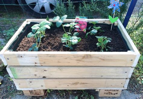 DIY pallet planter | How to Make a Pallet Planter | Balcony Garden Web