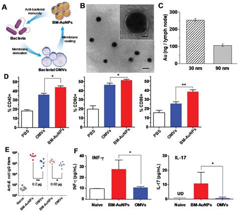 Cell Membrane-Coated Nanoparticles As an Emerging Antibacterial Vaccine Platform