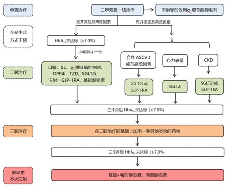 降糖药物如何选择？4 张图帮你理清思路！ 2型糖尿病治疗路径包括 办公设备维修网