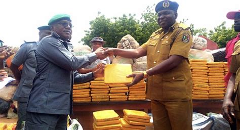 Customs Hands Over 389 Parcels Of Seized Cannabis To Ndlea In Kebbi