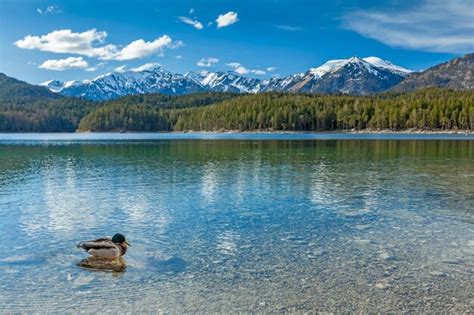 Premium Photo | Eibsee lake germany