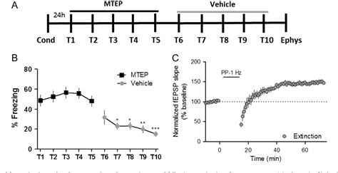 Figure From Contextual Fear Extinction Induces Hippocampal