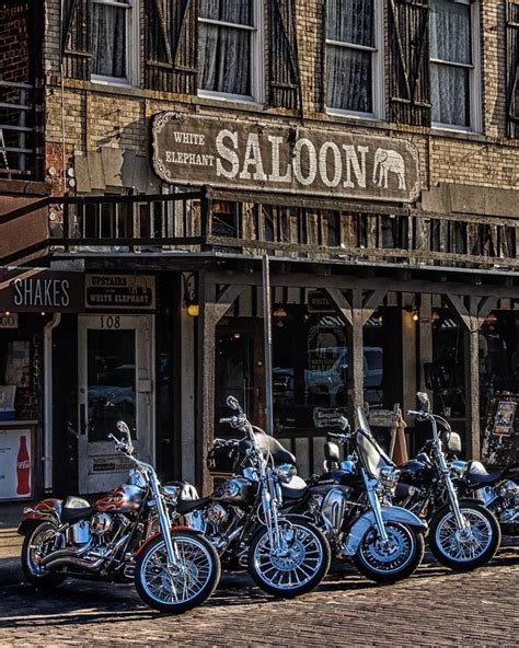 Pin By Wayne Thornton On Dive Bar Deep Dive Harley Davidson Pictures