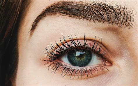 Eyelash Enhancing Treatment Hill Street Clinic