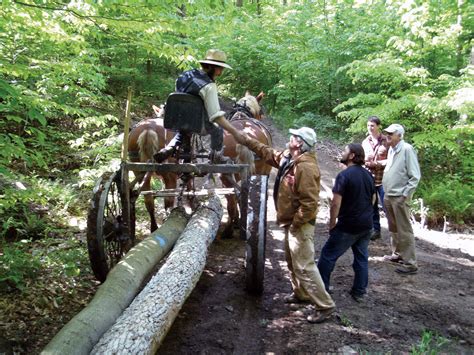 Sustainable Forestry - Farming Systems & Approaches - Small Farmer's ...