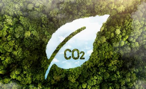 blog carbon growth partners