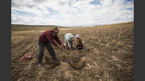 Se Inicia Simposio De La Papa En Bolivia Helvetas