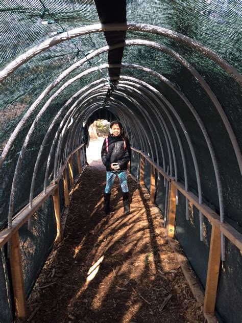 This brochure explains the best landmarks in long island quogue 6