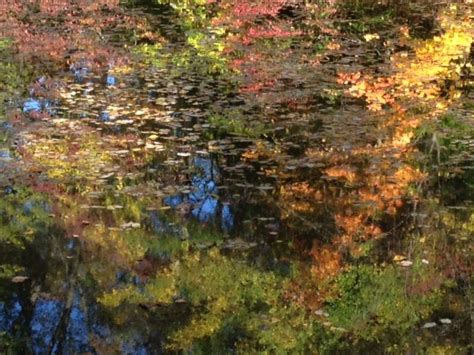 Cheltenham Township announces Fall Photo Contest winners - Glenside Local