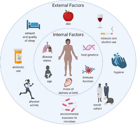 Internal And External Factors That Influence The Human Microbiome Download Scientific Diagram