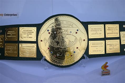 Big Green Worldwide Heavyweight Wrestling Championship Belt – Champions ...