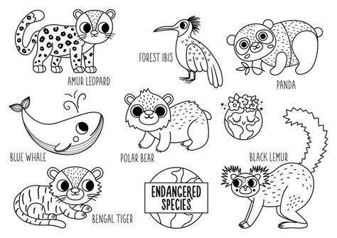 Dibujos De Animales En Peligro De Extinción Para Niños Descubre Su ...