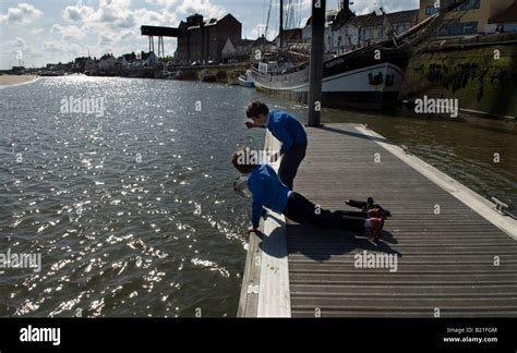 Crabbing,Wells Next the Sea, Norfolk, Britain, UK Stock Photo - Alamy