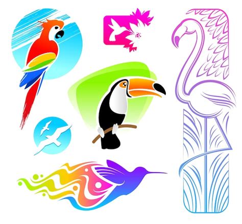 Conjunto Vectorial De Aves Tropicales Decorativas Vector Premium