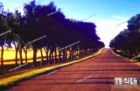 Road, horizontal, Stock Photo, Picture And Rights Managed Image. Pic ...