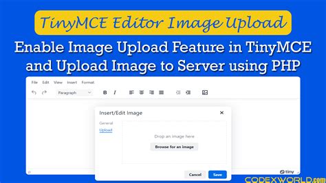 Server Side Image Upload In TinyMCE Editor Using PHP CodexWorld