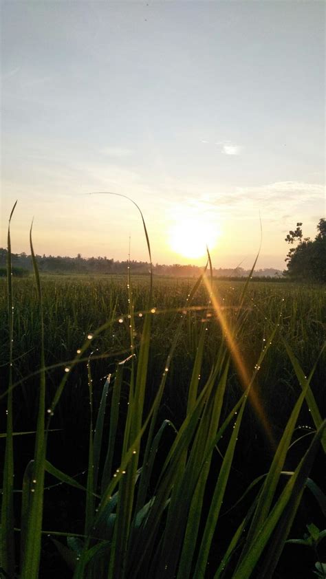 Pin Oleh In Di Wallpaper Fotografi Alam Estetika Langit Fotografi