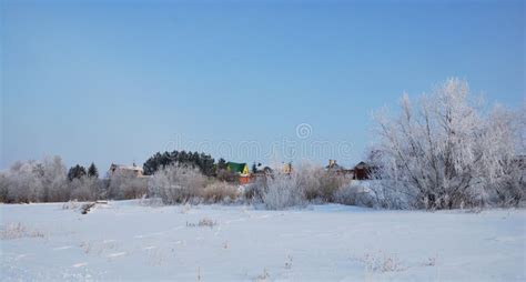 Winter Fog in the Vicinity of Omsk, Siberia Stock Photo - Image of snow ...