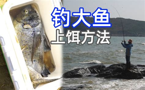 分享一种钓大鱼的上饵方法，淡水钓鱼也适用哔哩哔哩bilibili