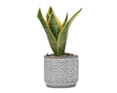 Planta Artificial Con Maceta Starhaus Coppel