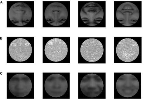 Frontiers The Influence Of Face Inversion And Spatial Frequency On