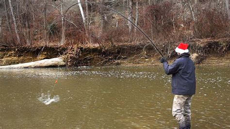 Christmas Steelhead Float Fishing YouTube