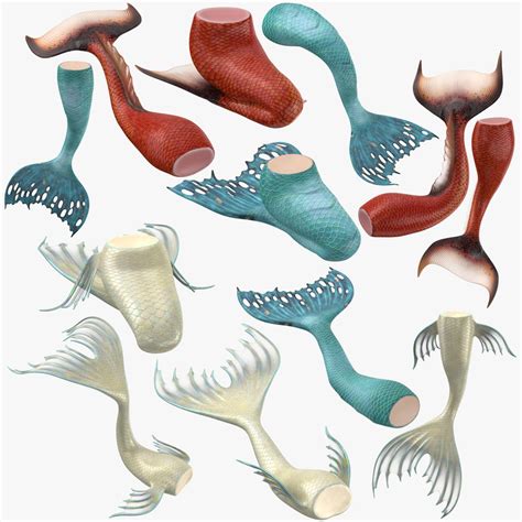 3d Mermaid Tail Turbosquid 1296701