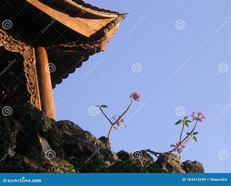 A Wooden Pagoda in Vietnam stock image. Image of asia - 184413249